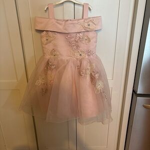 Girls Aurora Disney Pink Floral Embroidered Party Dress